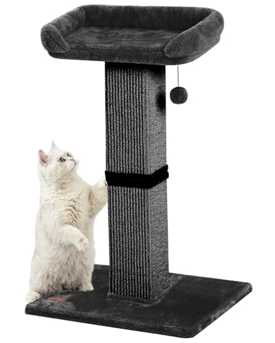 Large Sisal Cat Scratching Post with Plush Perch, Light Grey N192