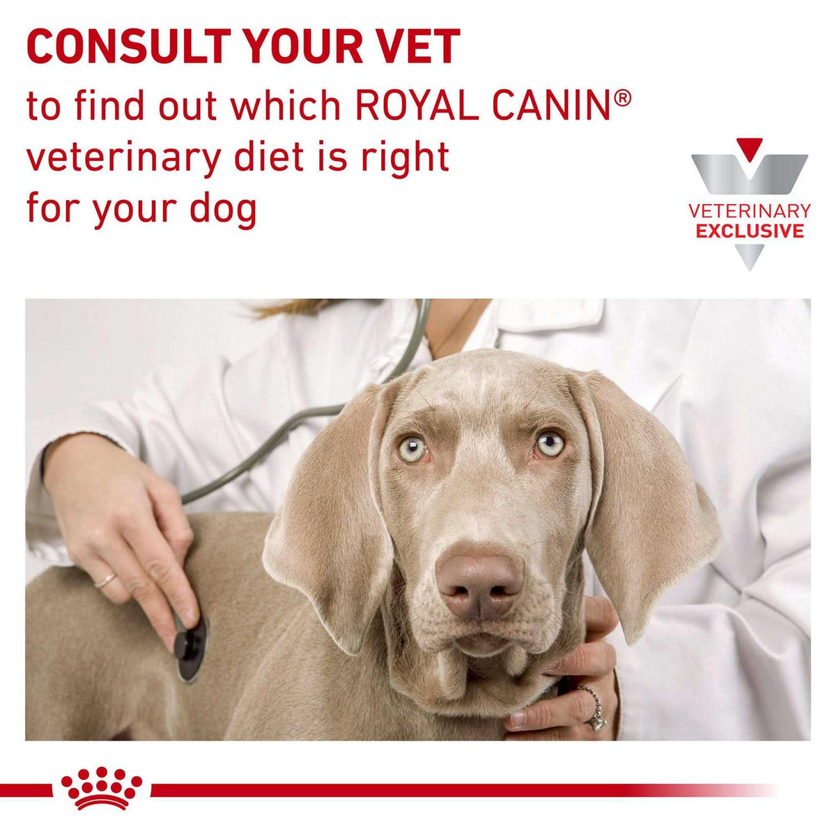 Hydrolyzed Protein Dry Dog Food O723372