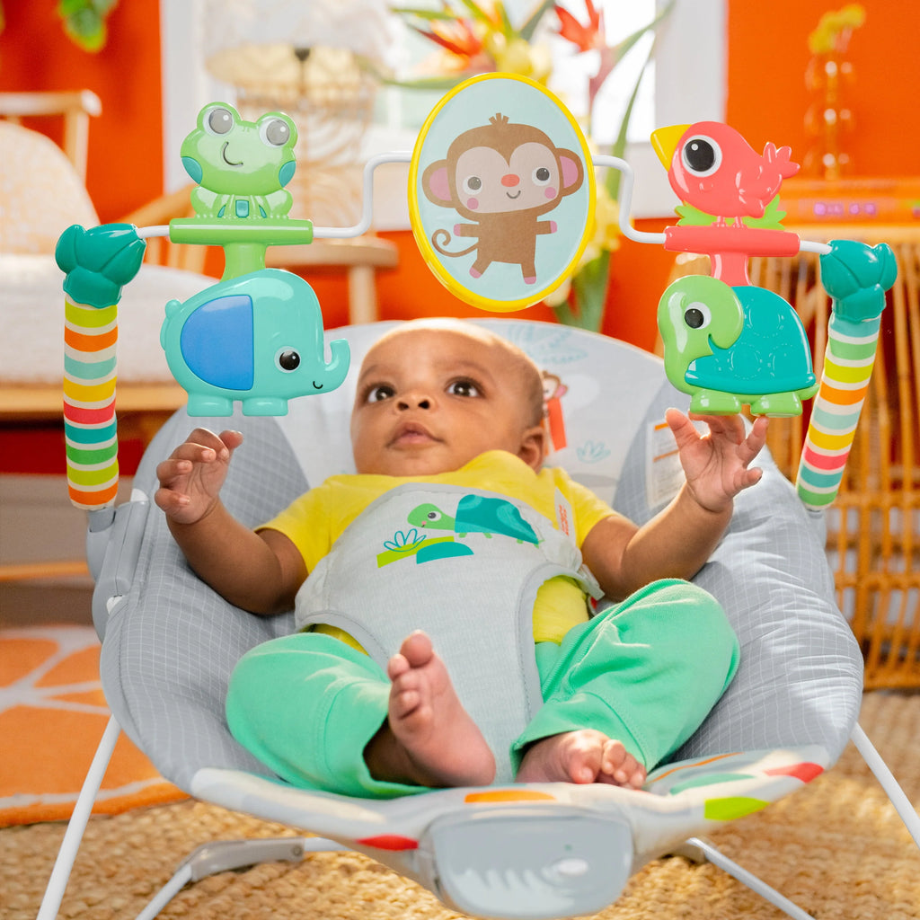 Vibrating Baby Bouncer F846791