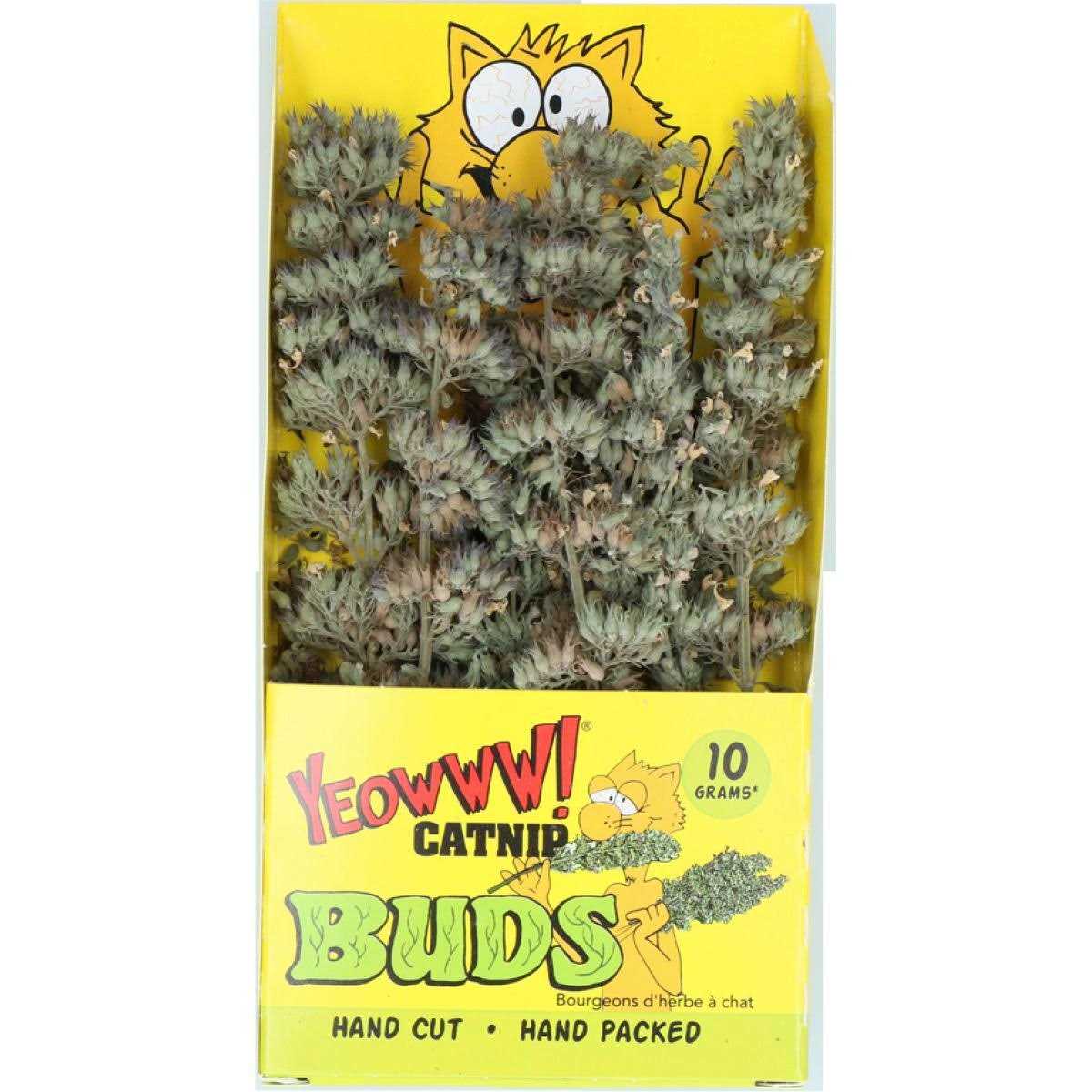 Catnip Buds G867792