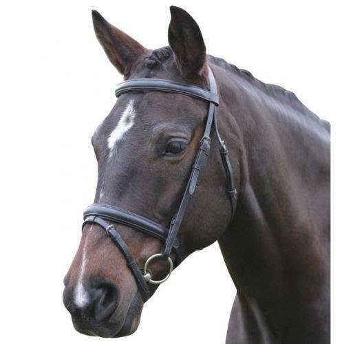 Brown Padded Bridle F714903
