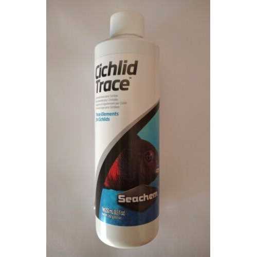 Cichlid Trace M7652