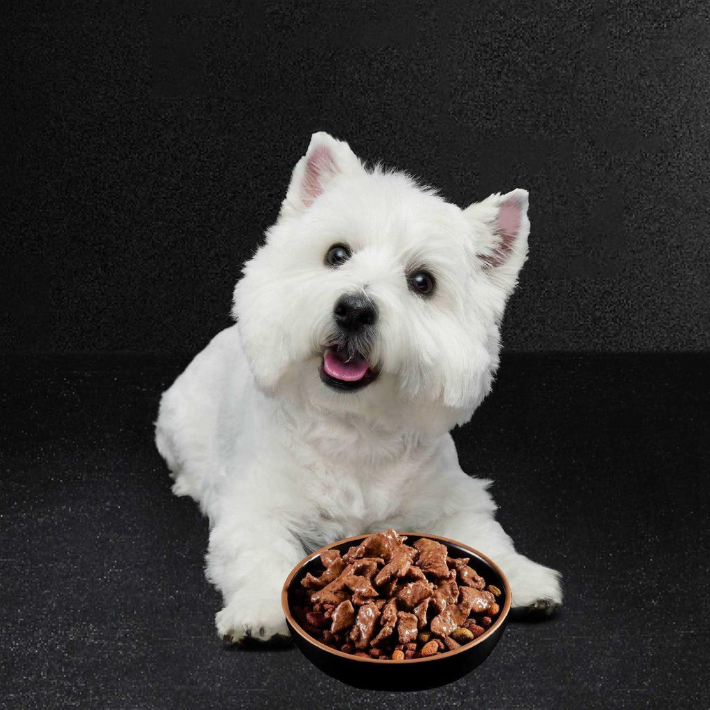 Filets in Gravy Wet Dog Food Variety Pack X205