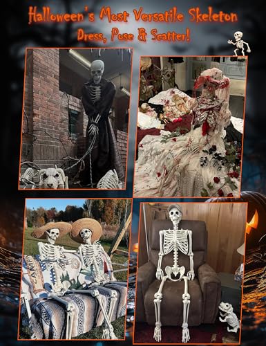 Life Size Skeleton with Glowing Eyes Movable Joints U3528