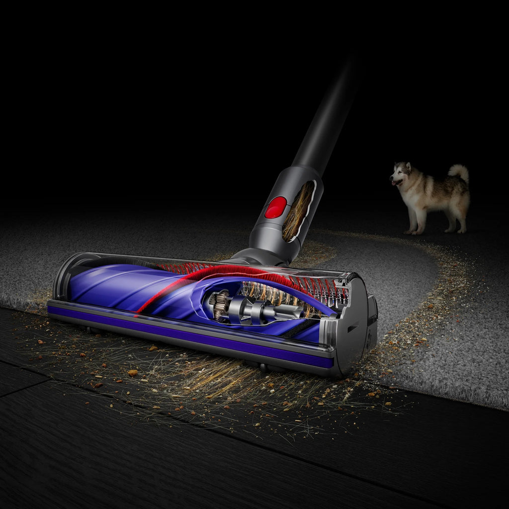 Cordless Vacuum Cleaner D221