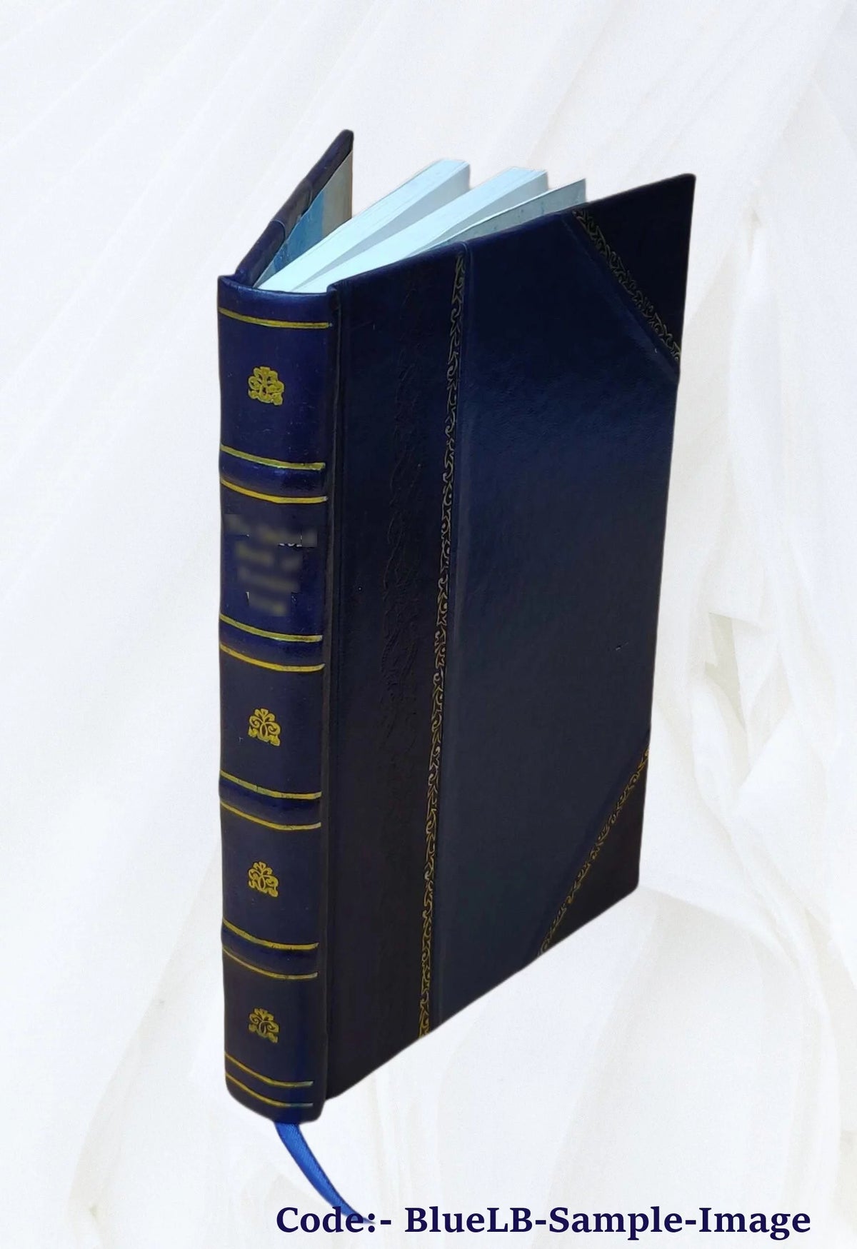 Domestic Appliances Leather Bound H69451
