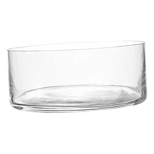 Round Glass Hydroponic Vase Terrarium Planter N618