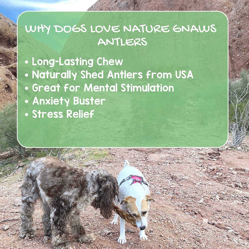 Deer Antlers for Small Dogs Natural Dog Treats O920