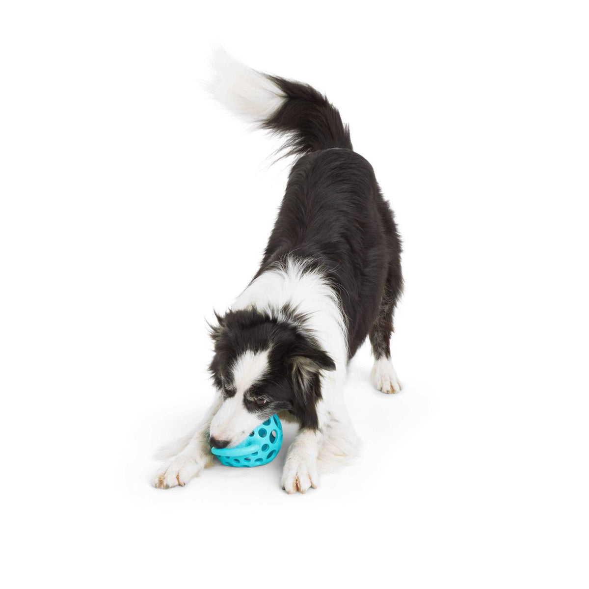 Dog Toy with Handle Z61692