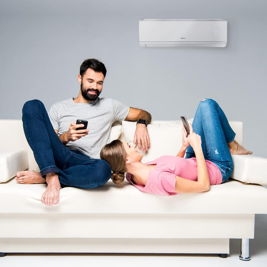 30,000 BTU Dual-Zone Mini Split Air Conditioner Heat Pump Y9583