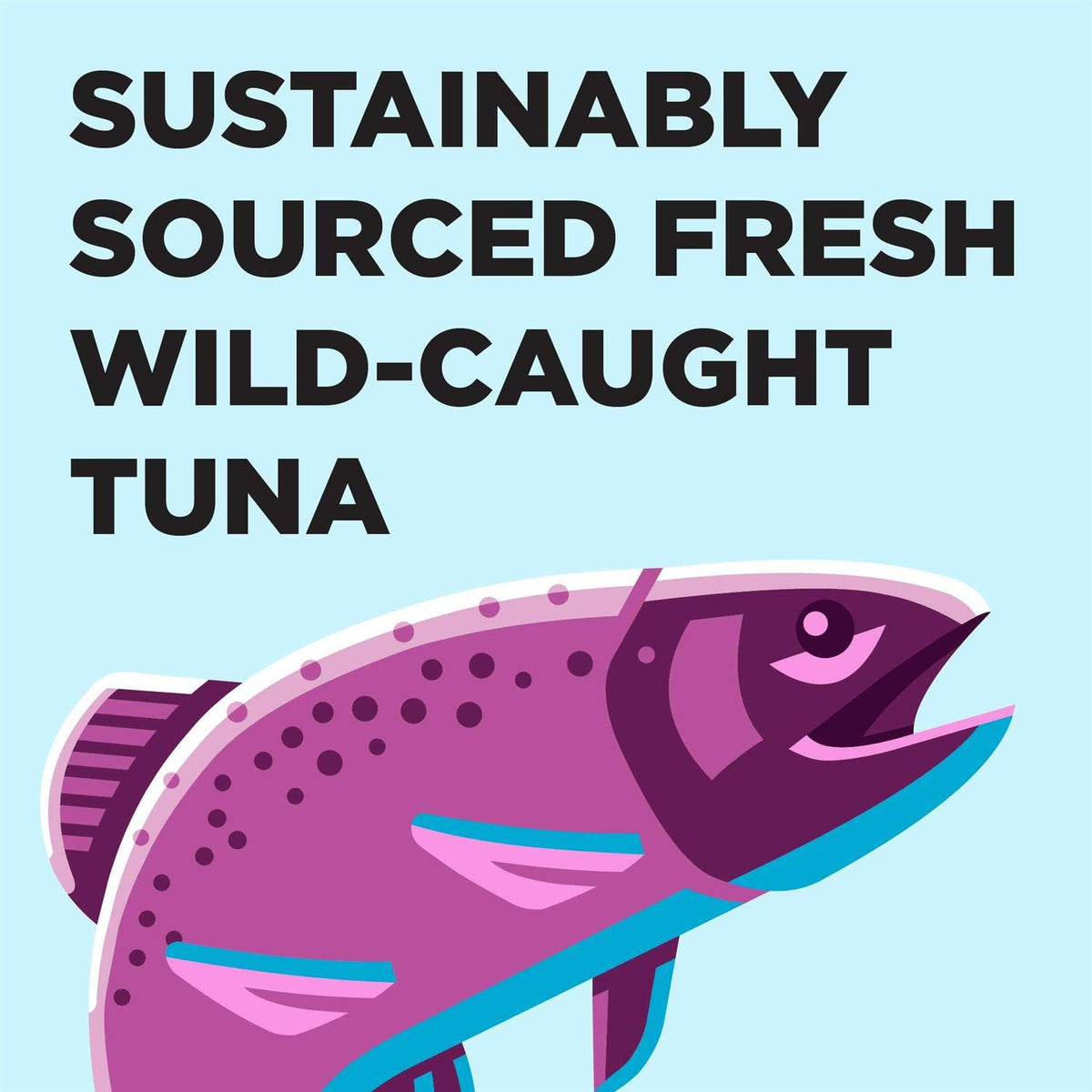 Tuna Recipe Cat Food Q894