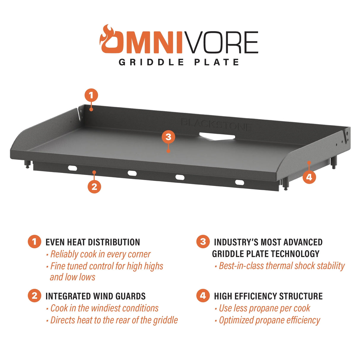 4-Burner Propane Griddle Cooking Station with Hard Cover X250210