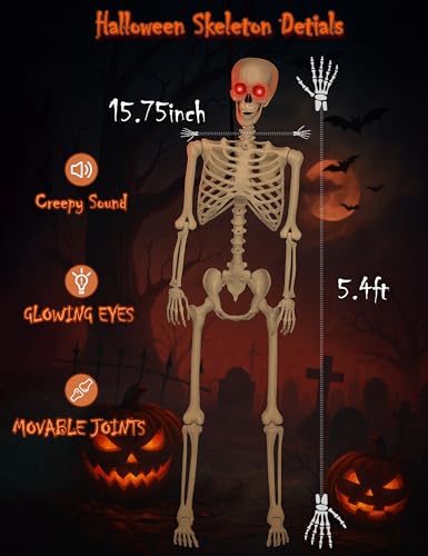 Life Size Skeleton with Glowing Eyes Movable Joints U3528