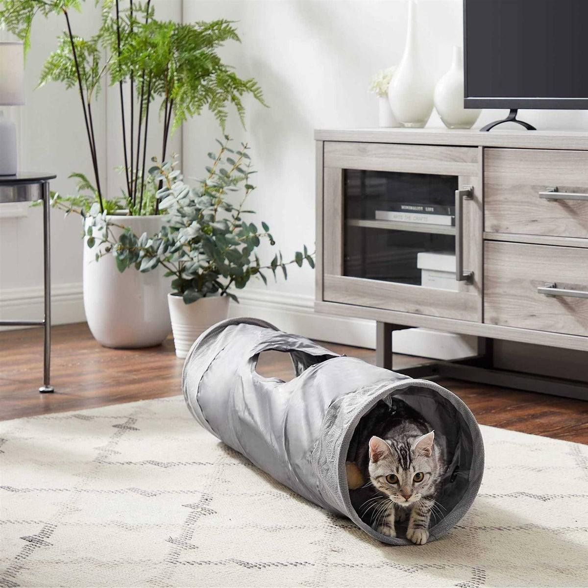 Cat Tunnel Y965