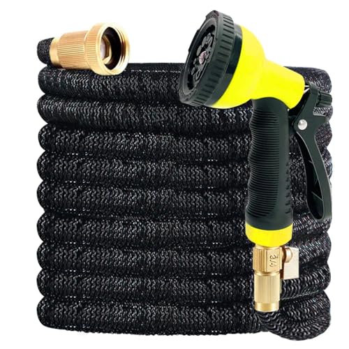 100ft Expandable Garden Hose with Holder L797963