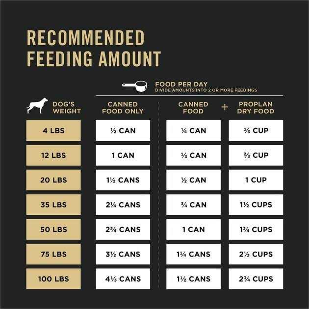 High Protein Wet Dog Food U8963