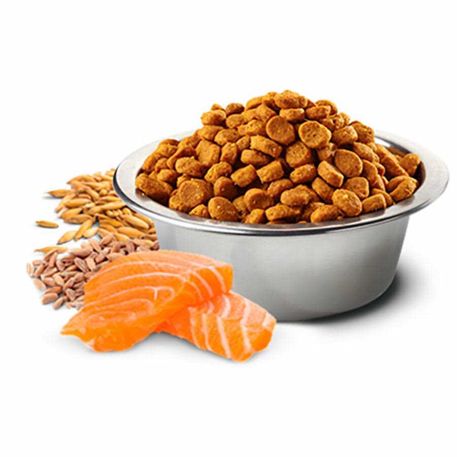 Spelt, Oats Tropical Selection Salmon Medium / Maxi Adult Dog Food B428919
