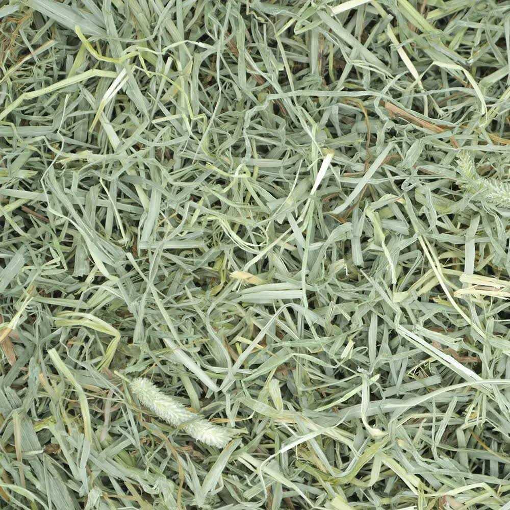 Timothy Hay Small Pet Food U885