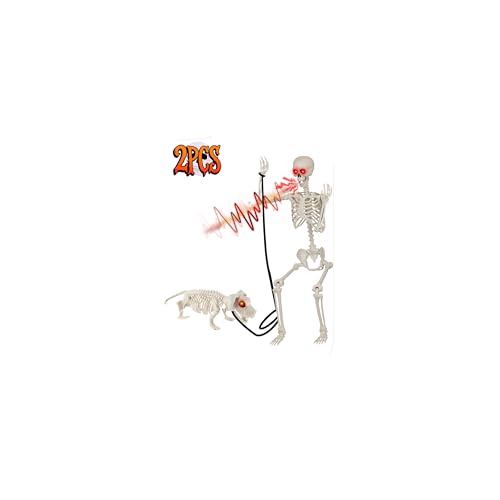 Life Size Skeleton with Glowing Eyes Movable Joints U3528