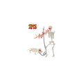 Life Size Skeleton with Glowing Eyes Movable Joints U3528