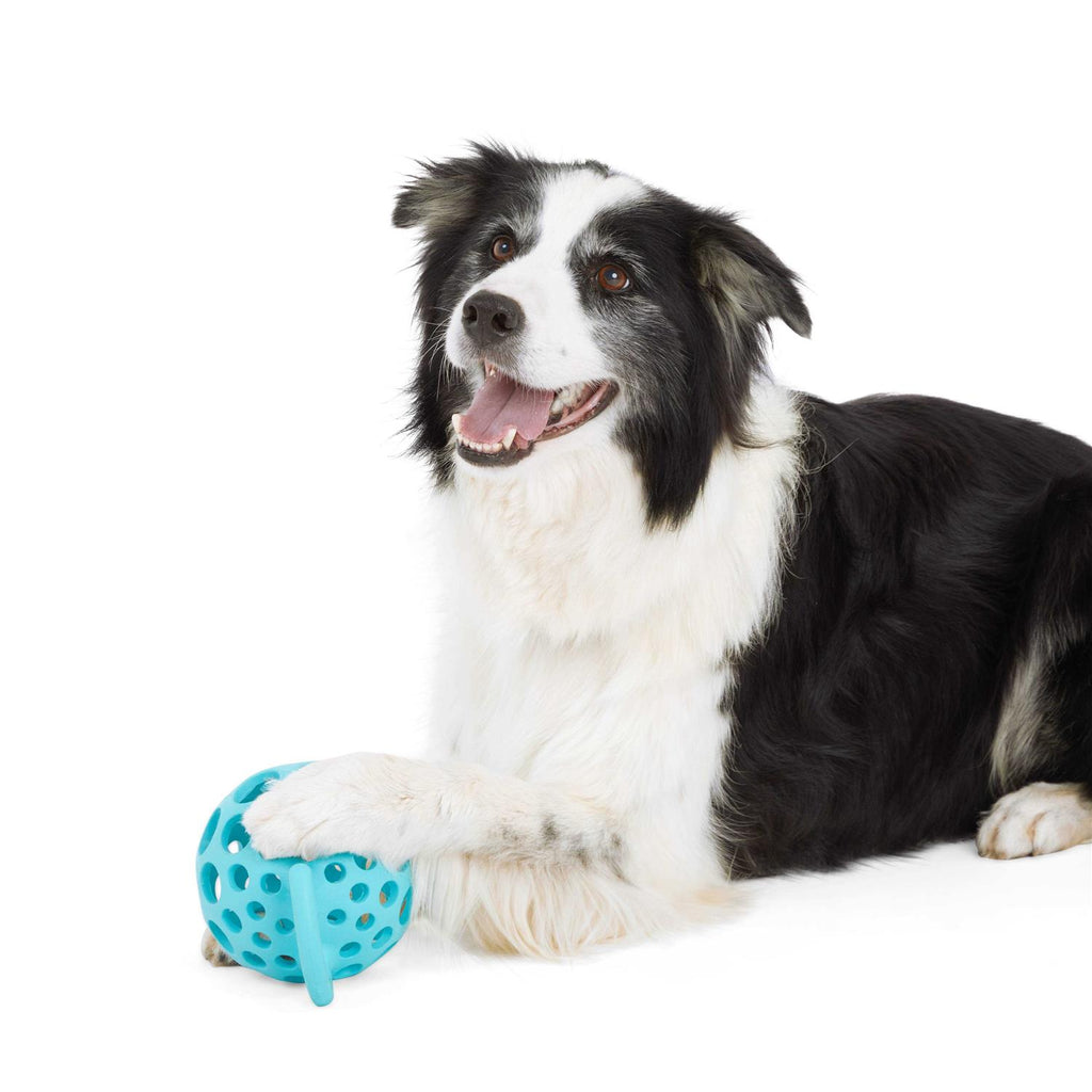 Dog Toy with Handle Z61692