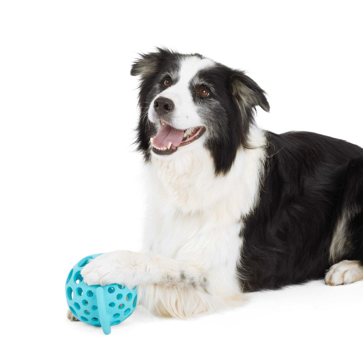 Dog Toy with Handle Z61692