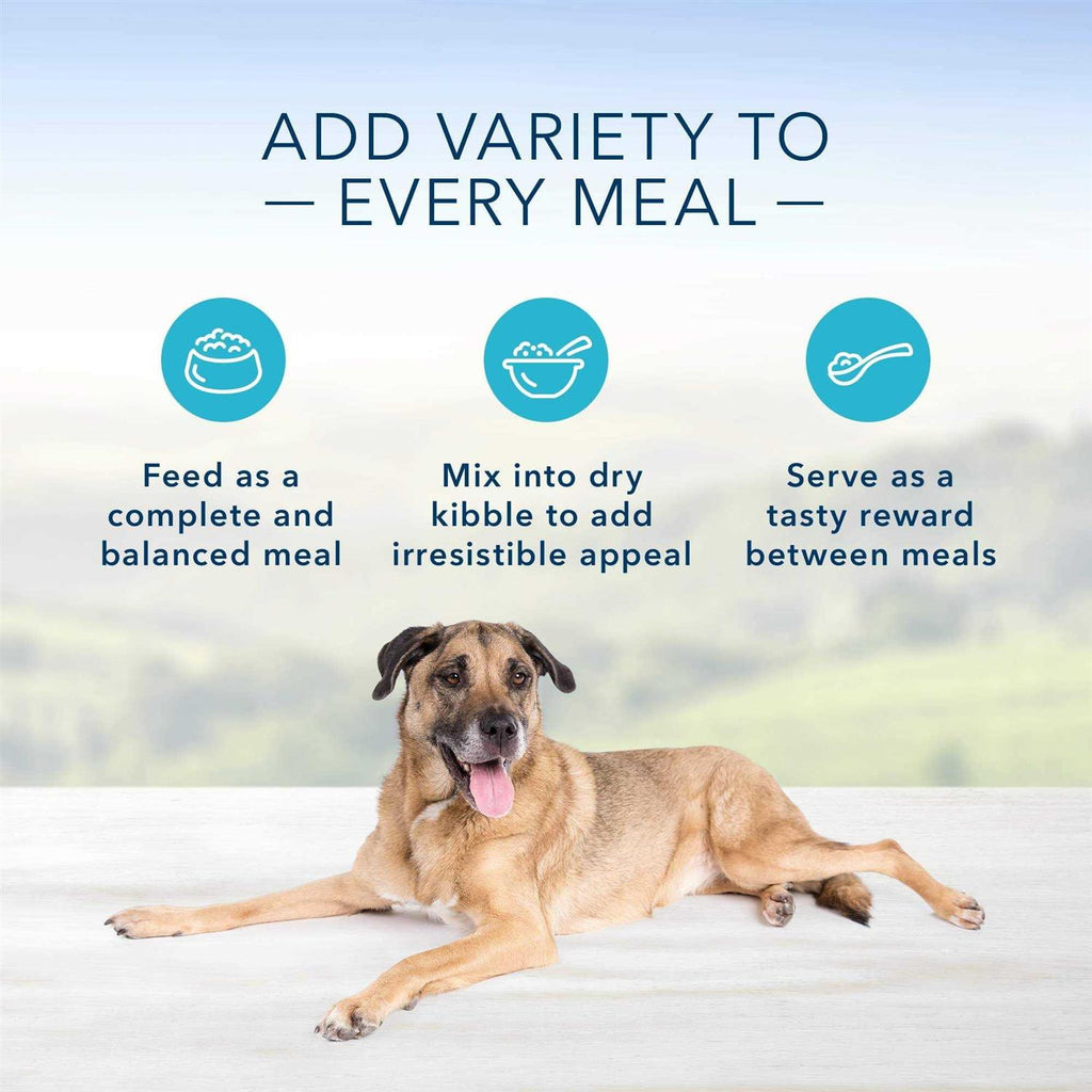 Senior Dog Food Chicken Dinner K841831