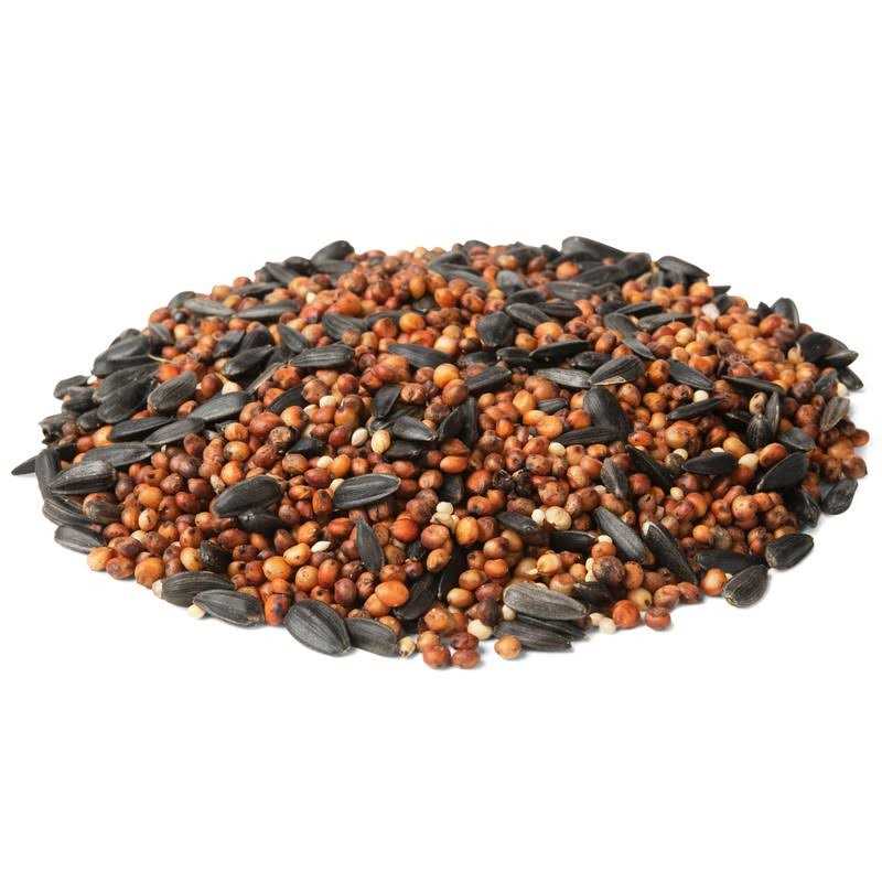 Wild Bird Food M20374