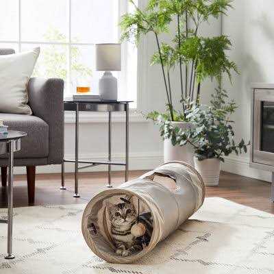 Cat Tunnel Y965