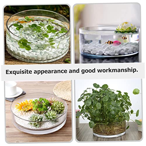 Round Glass Hydroponic Vase Terrarium Planter N618