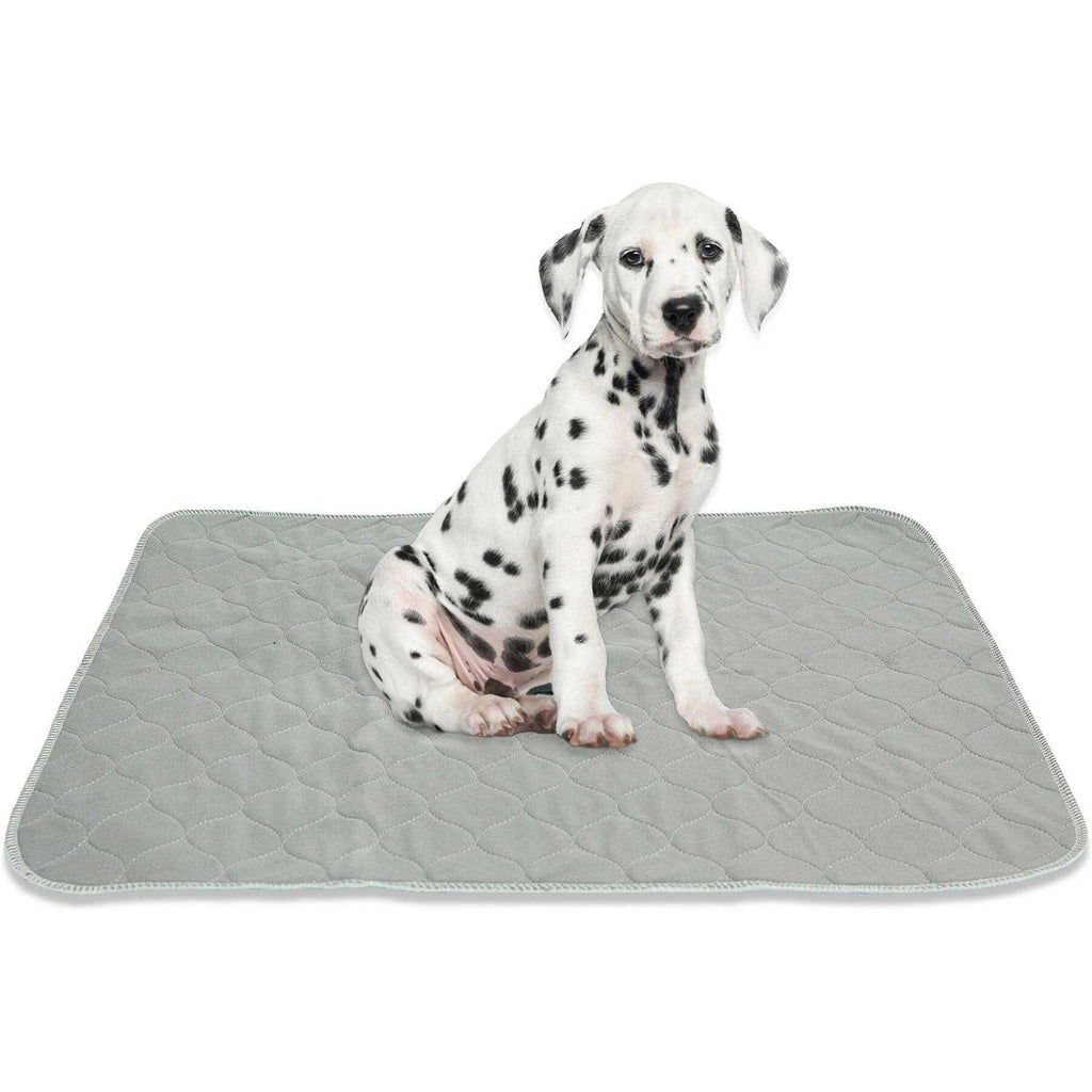 Washable Reusable Pee Pads for Dogs C823417