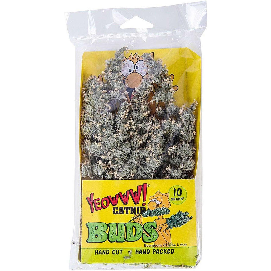 Catnip Buds G867792
