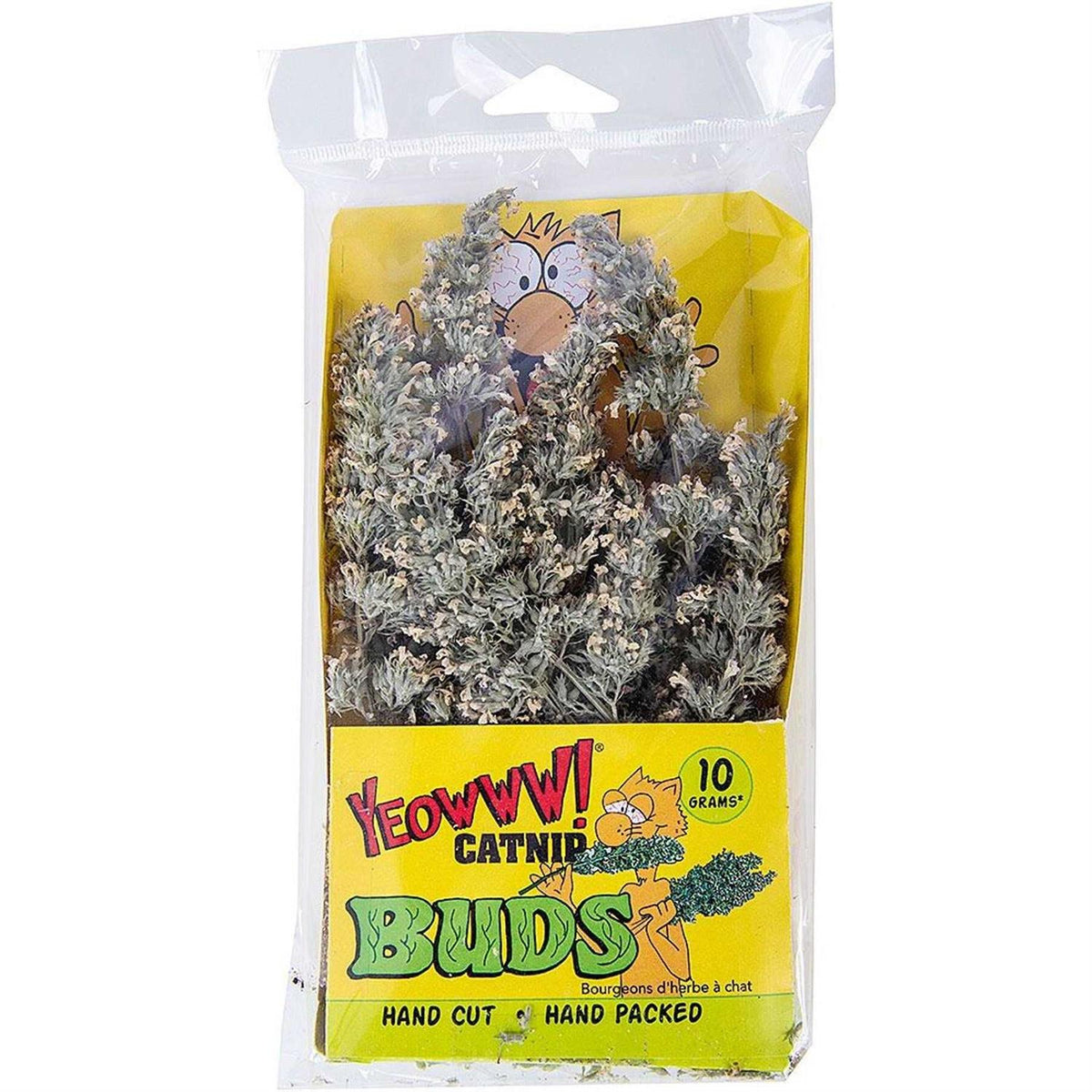 Catnip Buds G867792