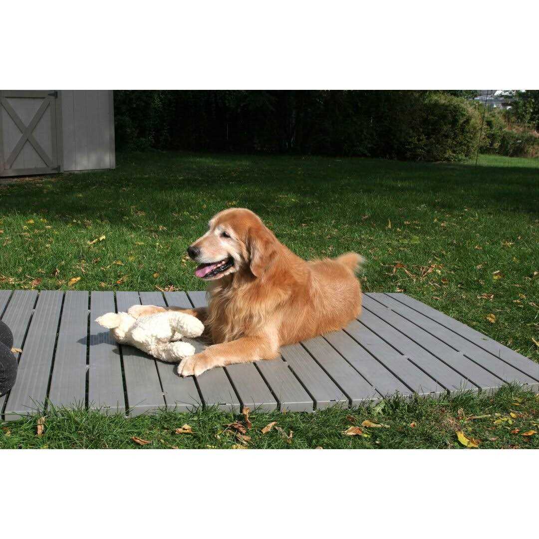 Set of 3 Pet Supplies D410885