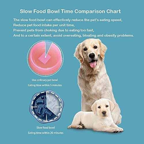Slow Feeder Non Slip Dog Bowl A16105