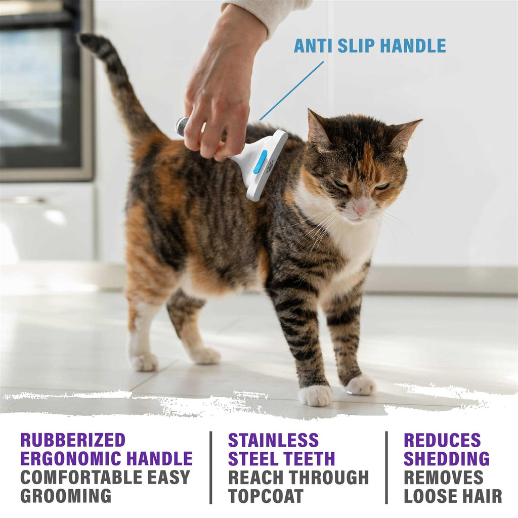 Pet Grooming Brush Q547635