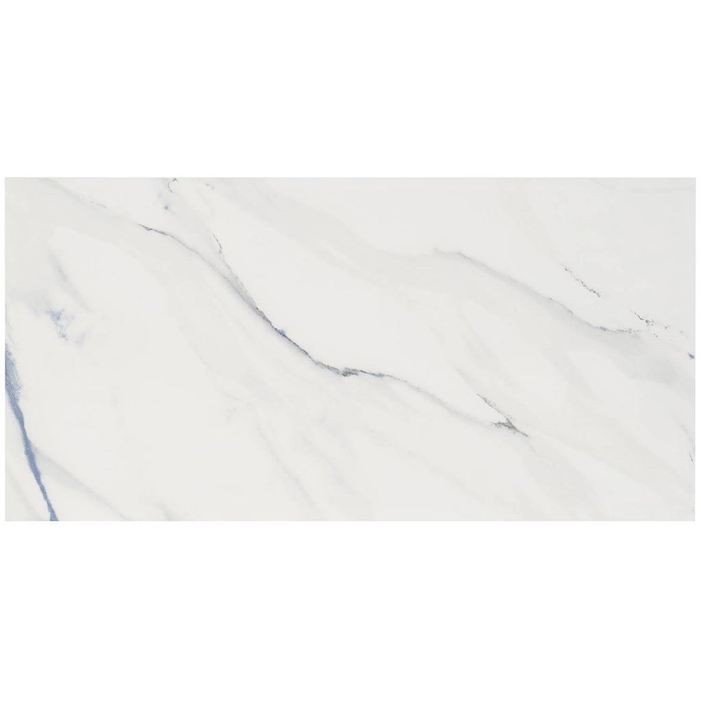 Polished Porcelain Floor and Wall Tile 12 in. x 24 in. 6-Piece H711603