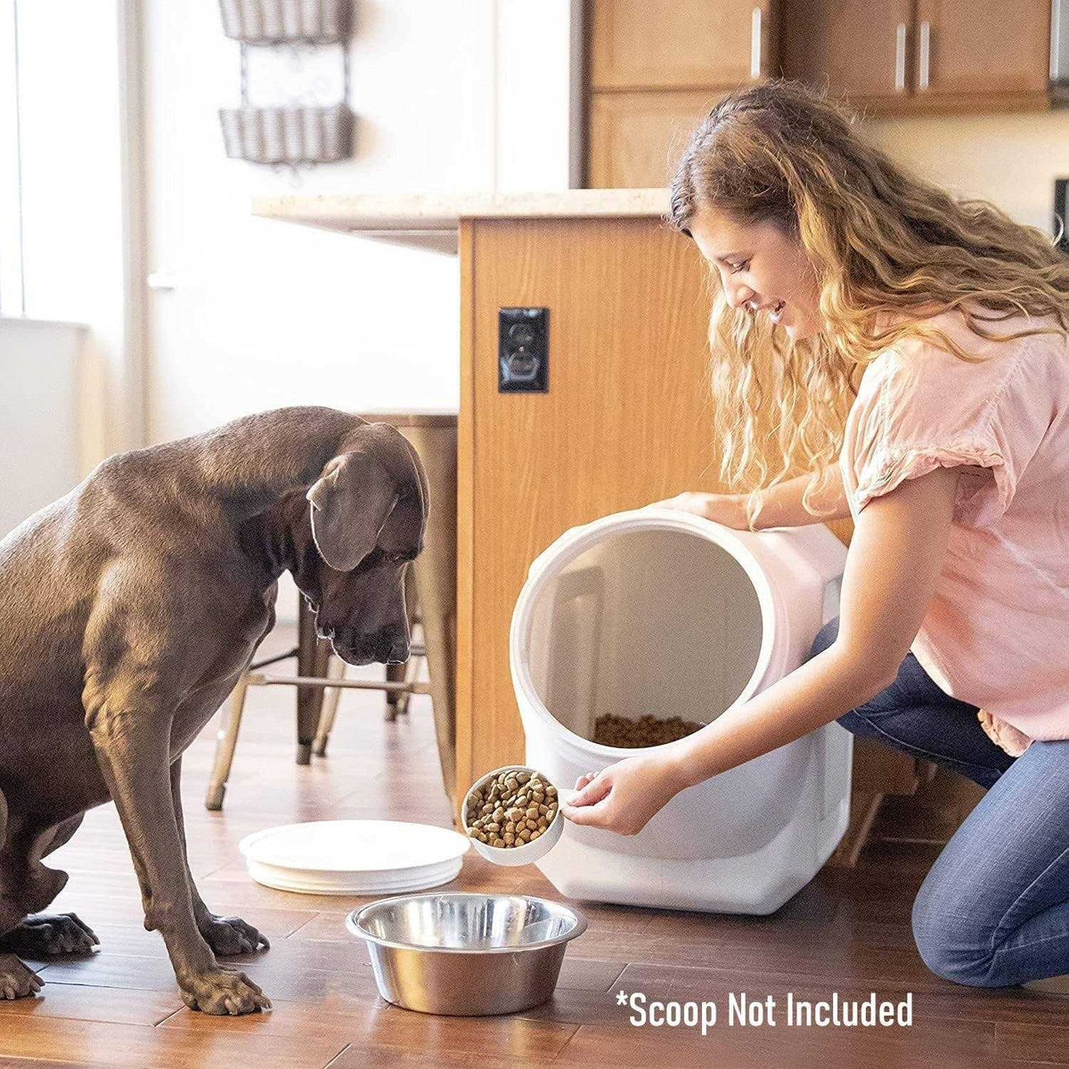 Stackable Pet Food Storage Container V220958