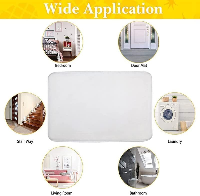 Non-Slip Door Mat 32x20in C157754