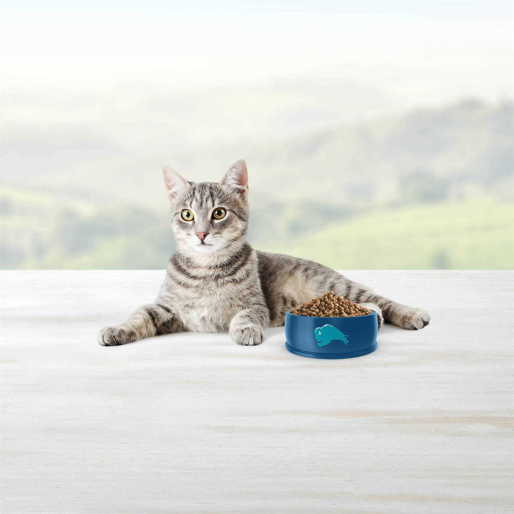 Blue Weight Control Adult Cat Dry Food E708