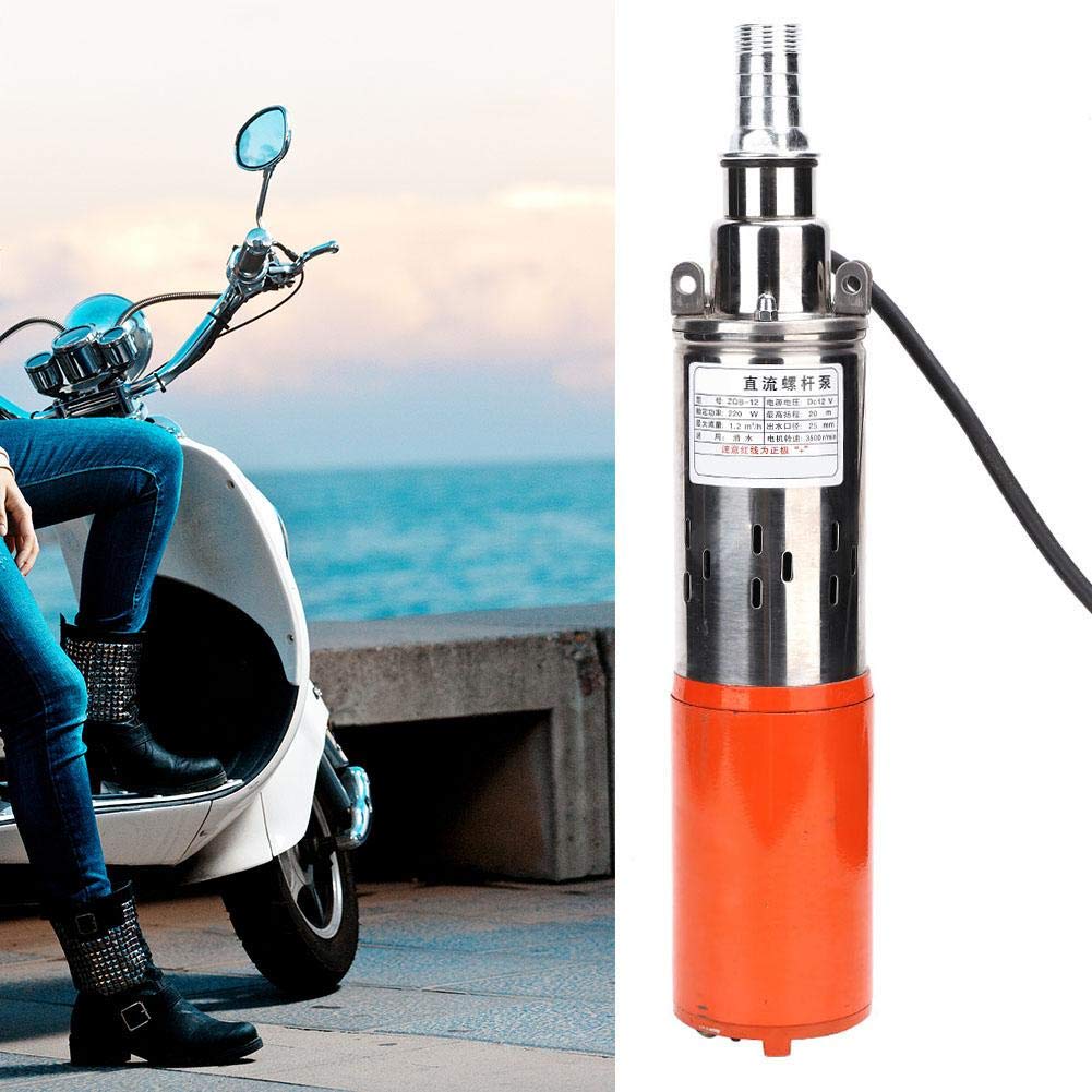 1-inch 12V Stainless Steel DC Screw Pump 260W M829