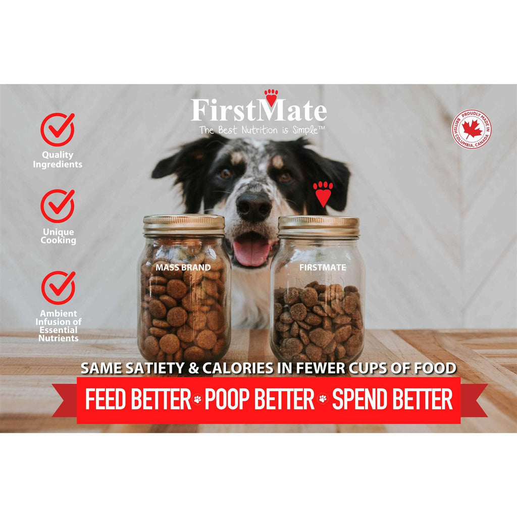 Grain Friendly Cage Free Duck & Oats Dry Dog Food X2074
