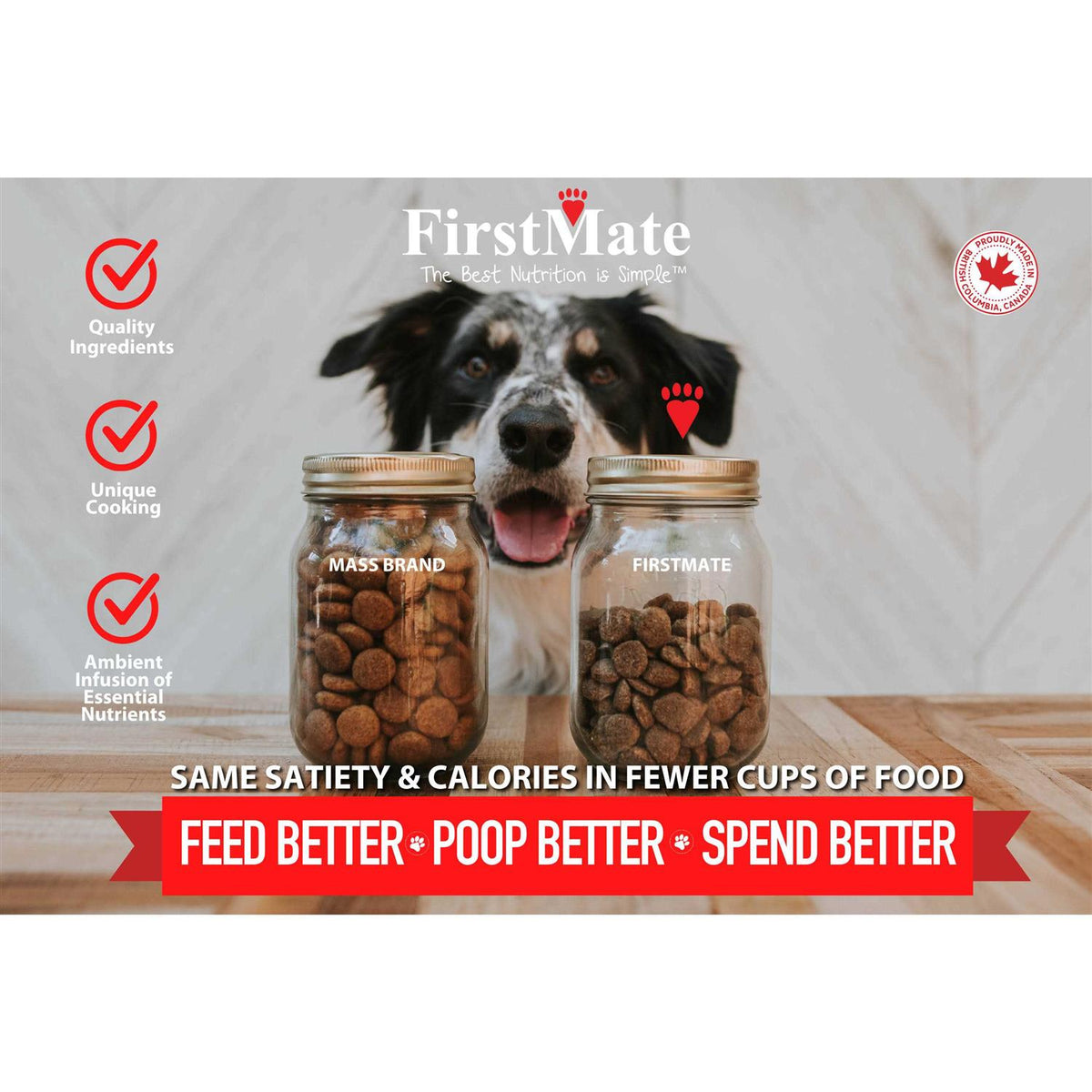 Grain Friendly Cage Free Duck & Oats Dry Dog Food X2074