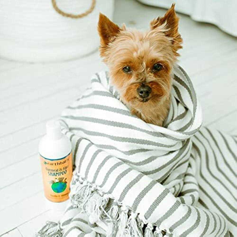Mango Tango 2-in-1 Conditioning Shampoo N97972