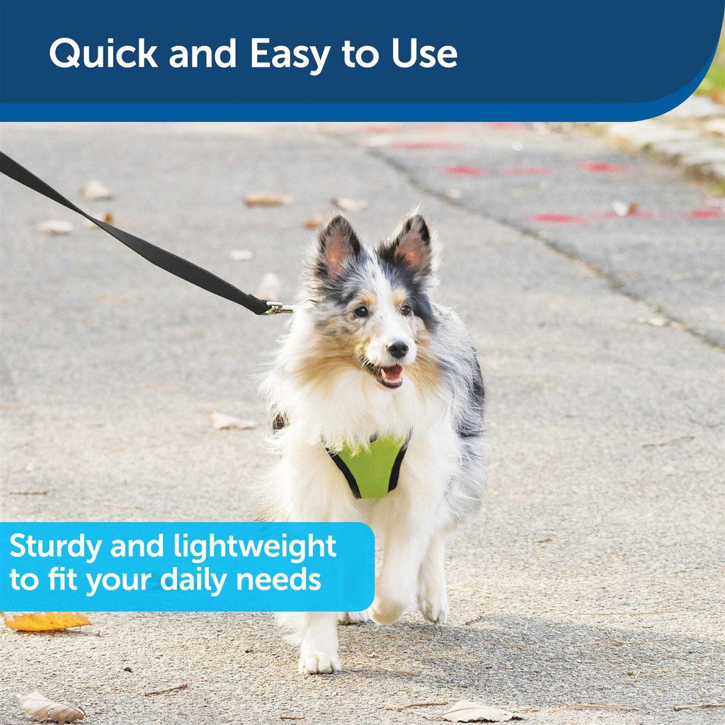 Nylon Dog Leash D294