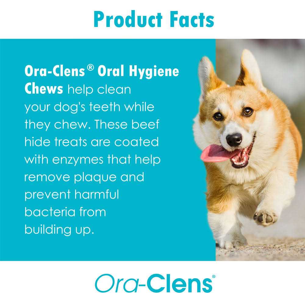 Oral Hygiene Dental Dog Treats K2782
