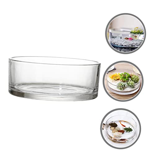 Round Glass Hydroponic Vase Terrarium Planter N618