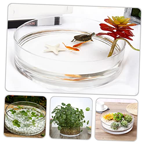 Round Glass Hydroponic Vase Terrarium Planter N618
