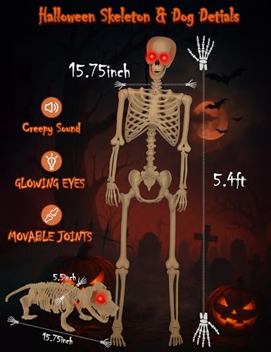 Life Size Skeleton with Glowing Eyes Movable Joints U3528