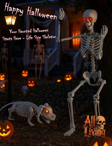 Life Size Skeleton with Glowing Eyes Movable Joints U3528